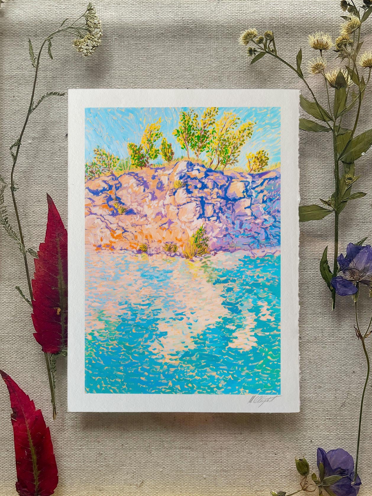 "Bathed in sun" - Print