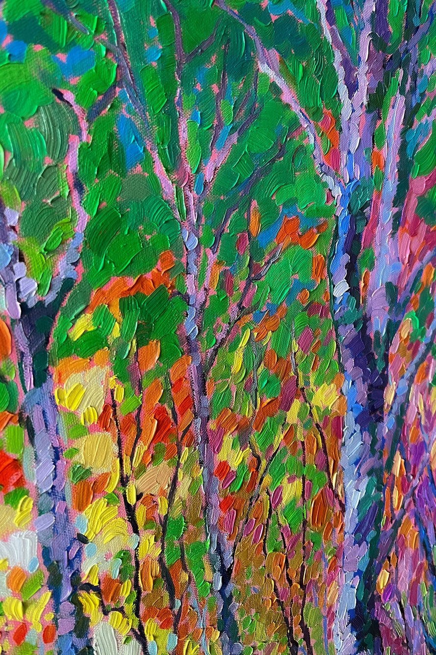 "Sunshine Forest"