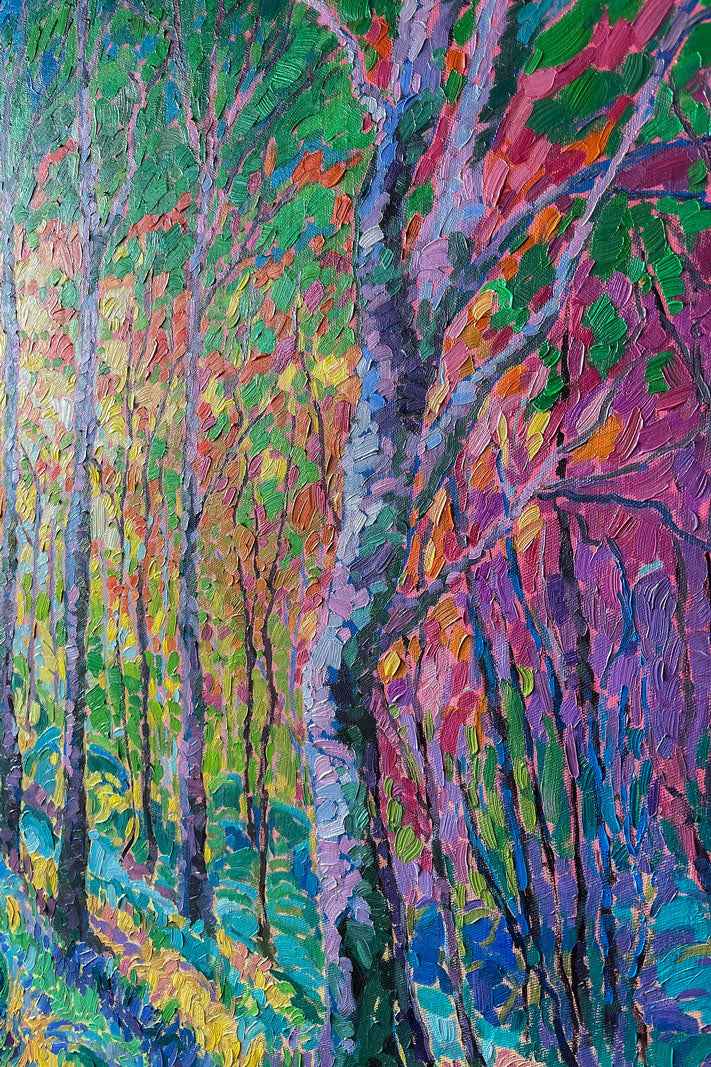 "Sunshine Forest"