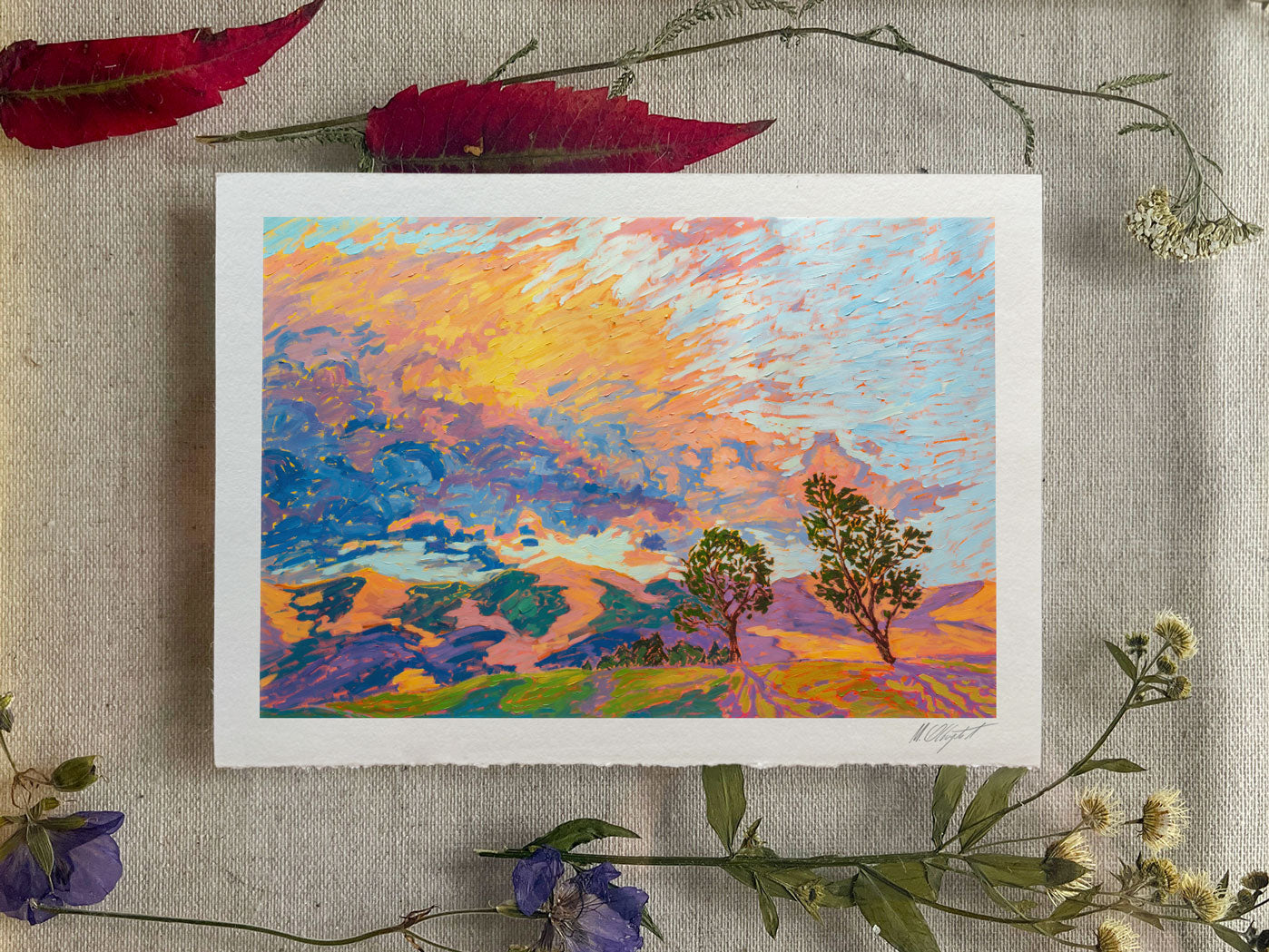 "Evening Shadows" - Print